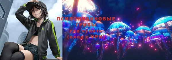 прущая мука Ельня