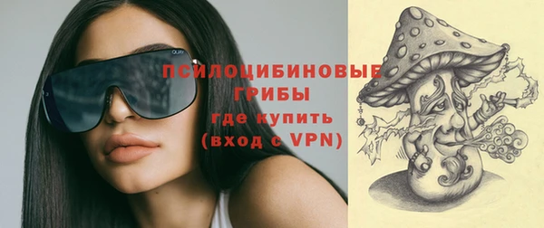 синтетический гашиш Елизово