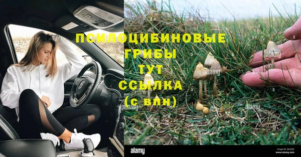 синтетический гашиш Елизово
