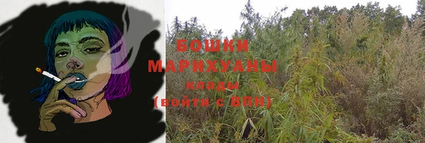прущая мука Ельня
