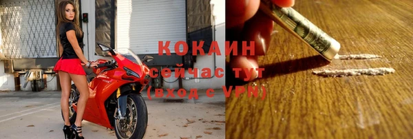 прущая мука Ельня